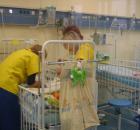 Krakowski Oddział Leczenia Żywieniowego